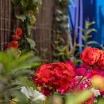 Lantana Studio With Private Terrace